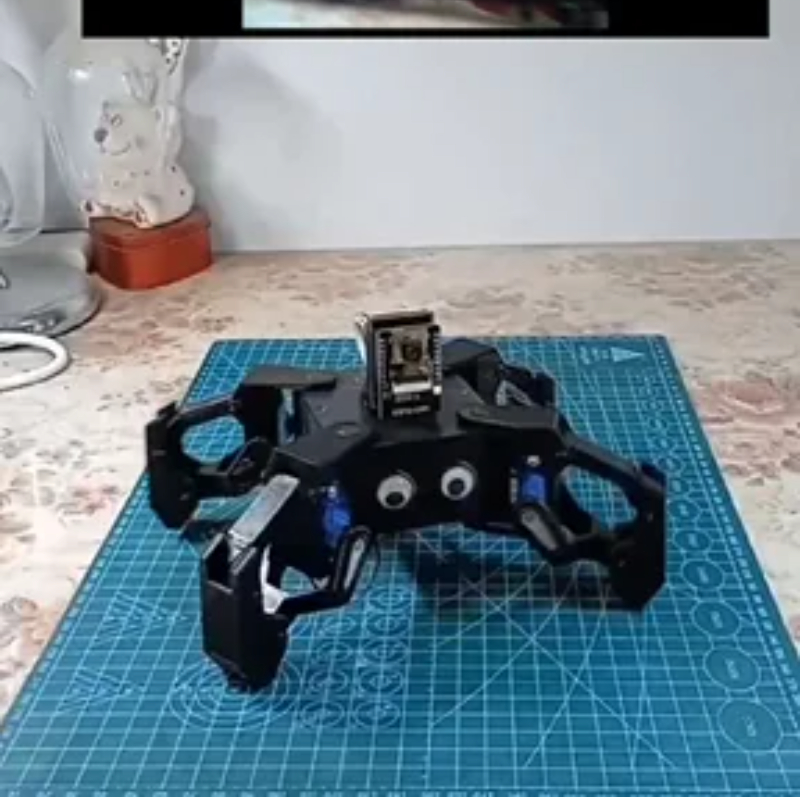Robot Pająk SG90 z Kamerą do A – Esp8266 recenzja i cena